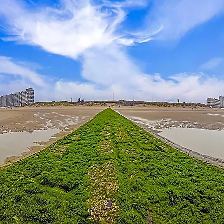 Hotel With Sunny Terrace And Sea View Middelkerke
